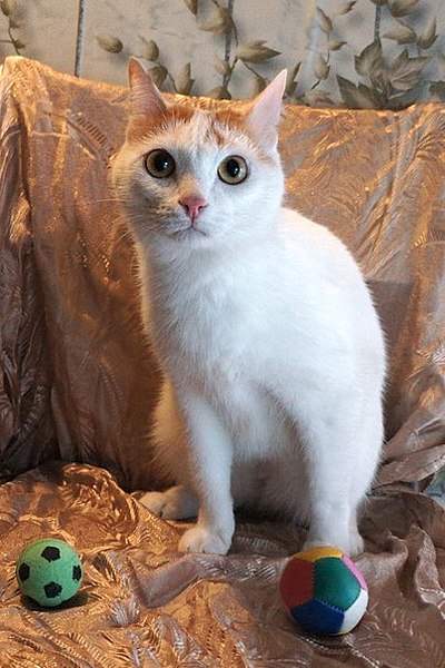 403 X 604  60.1 Kb  .    .