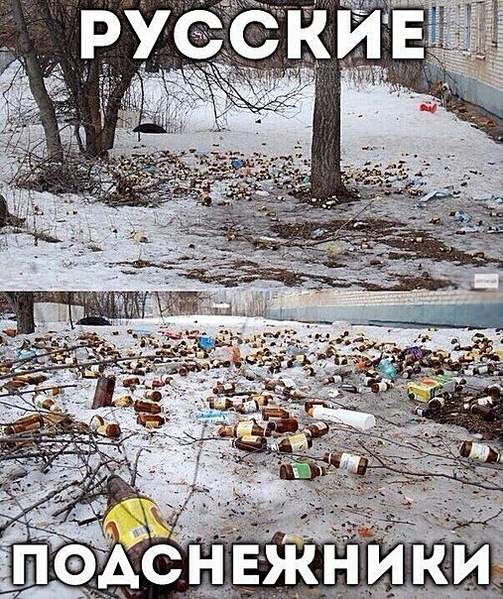 507 X 604 235.5 Kb     ?