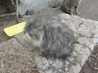 1920 X 1440 856.8 Kb 1920 X 1440 679.3 Kb 1920 X 1440 681.9 Kb    