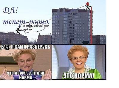 448 X 331  53.9 Kb    !?