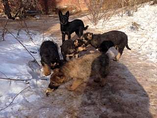 640 X 480 138.2 Kb 1200 X 800 830.2 Kb 1200 X 800 593.9 Kb  -   