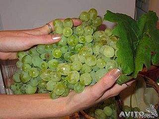 400 X 300 21.8 Kb ������ ����������� ������� ���������