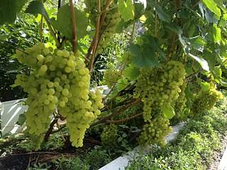 1920 X 1440 902.3 Kb 225 X 300 21.0 Kb 400 X 300 21.8 Kb ������ ����������� ������� ���������