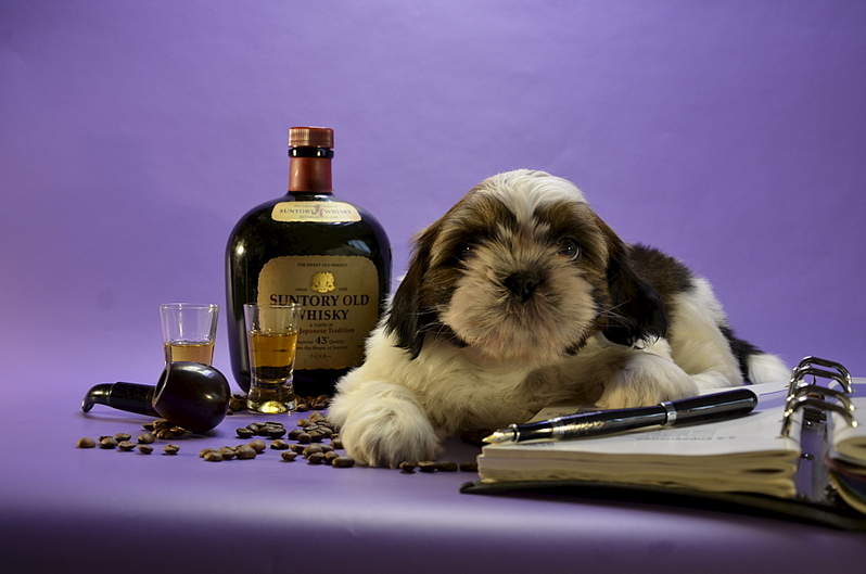 1920 X 1271 171.8 Kb  -