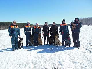 1280 X 960 217.1 Kb Дворняги