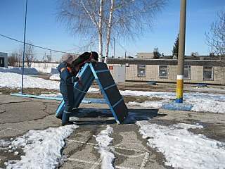 1280 X 960 373.6 Kb 1280 X 960 351.8 Kb 1280 X 960 217.1 Kb Дворняги