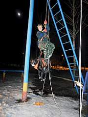 768 X 1024 135.2 Kb 768 X 1024 126.2 Kb 768 X 1024 118.9 Kb Дворняги