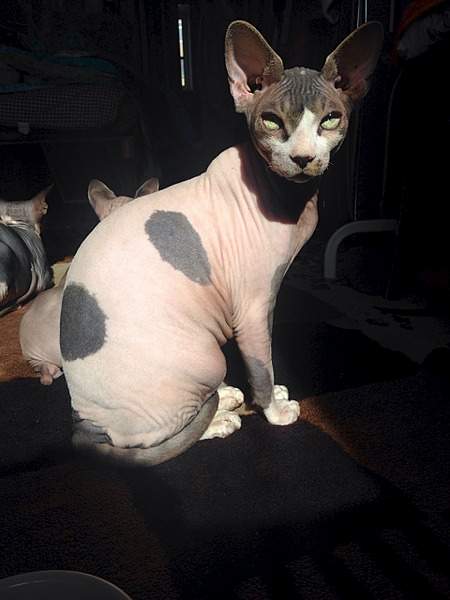 1920 X 2560 866.5 Kb     !