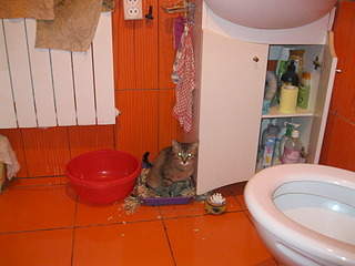 1920 X 1440 611.9 Kb    .