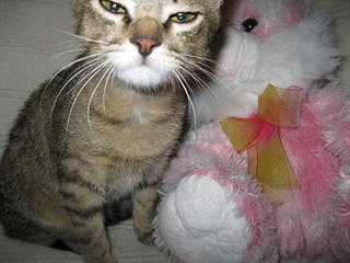 1920 X 1440 659.4 Kb 1920 X 1440 611.9 Kb    .