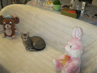 1920 X 1440 637.9 Kb 1920 X 1440 653.0 Kb 1920 X 1440 659.4 Kb 1920 X 1440 611.9 Kb    .