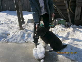 1920 X 1440 634.3 Kb   .