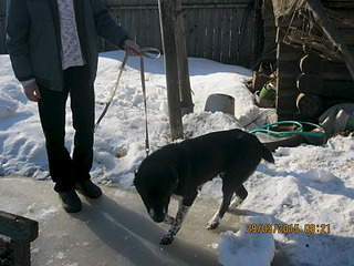 1920 X 1440 663.7 Kb 1920 X 1440 634.3 Kb   .