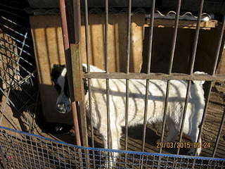 1920 X 1440 808.5 Kb 1920 X 1440 663.7 Kb 1920 X 1440 634.3 Kb   .