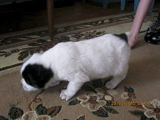 1920 X 1440 628.1 Kb   .