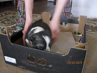 1920 X 1440 669.9 Kb 1920 X 1440 628.1 Kb   .