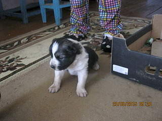 1920 X 1440 794.6 Kb 1920 X 1440 669.9 Kb 1920 X 1440 628.1 Kb   .