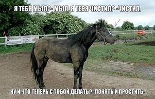 604 X 388  72.0 Kb Конный клуб 'Ранчо Бодья' приглашает :