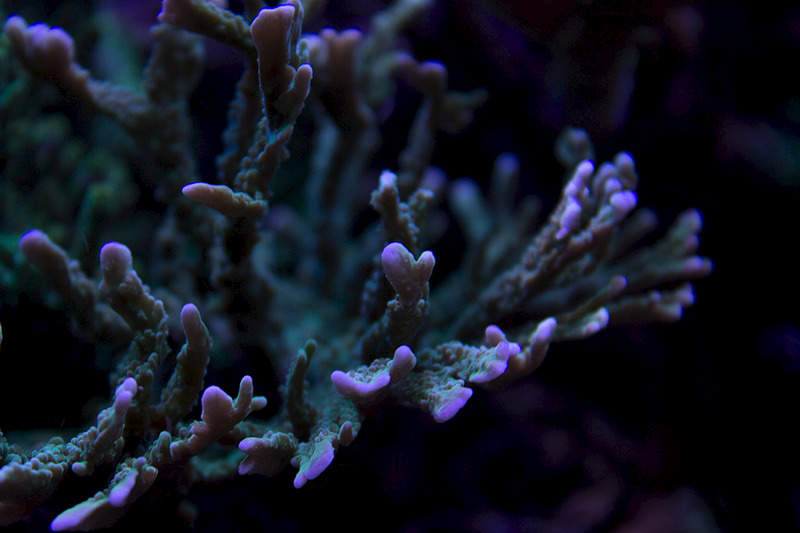 1920 X 1280 435.4 Kb 1920 X 1280 520.3 Kb 1920 X 1280 494.0 Kb Глубокое синее море.