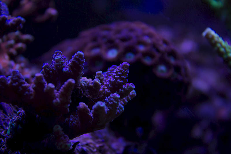 1920 X 1280 468.5 Kb 1920 X 1280 435.4 Kb 1920 X 1280 520.3 Kb 1920 X 1280 494.0 Kb Глубокое синее море.