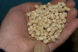 1920 X 1277 592.8 Kb    