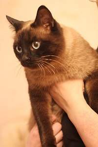 538 X 807 52.7 Kb 807 X 538 39.1 Kb        