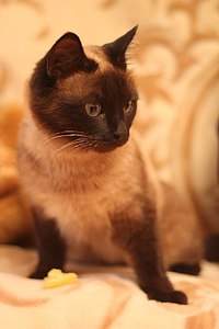 538 X 807 47.3 Kb 538 X 807 52.7 Kb 807 X 538 39.1 Kb        