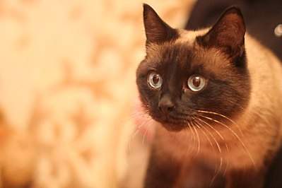 807 X 538 46.9 Kb 538 X 807 47.3 Kb 538 X 807 52.7 Kb 807 X 538 39.1 Kb        