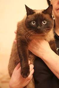 538 X 807 54.0 Kb 807 X 538 46.9 Kb 538 X 807 47.3 Kb 538 X 807 52.7 Kb 807 X 538 39.1 Kb        