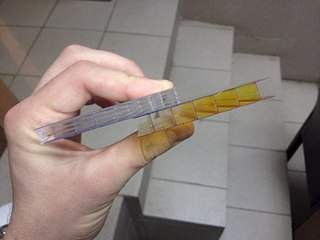 960 X 720 94.4 Kb 720 X 960 116.1 Kb СОТОВЫЙ и МОНОЛИТНЫЙ ПОЛИКАРБОНАТ CARBOGLASS.Закажи по телефону-привезём прямо к дому