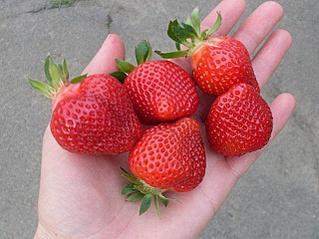 640 X 479  46.8 Kb  , , , ,   .  