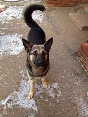 605 X 807 148.3 Kb 451 X 604  52.2 Kb  ?