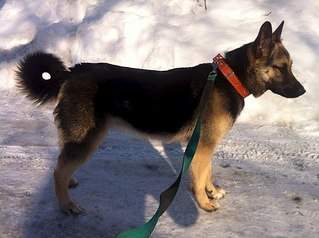 604 X 451  54.2 Kb 605 X 807 148.3 Kb 451 X 604  52.2 Kb  ?