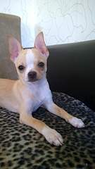 1728 X 3072 307.1 Kb  