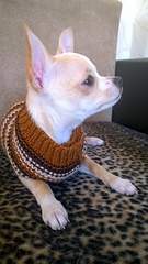 1728 X 3072 409.6 Kb  