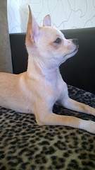 1728 X 3072 356.2 Kb  