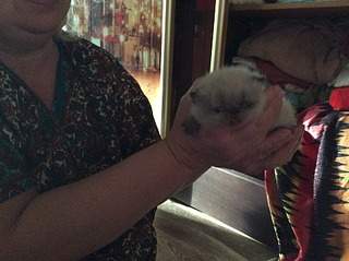 1920 X 1434 554.4 Kb  