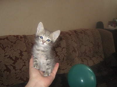 1920 X 1440 611.0 Kb      