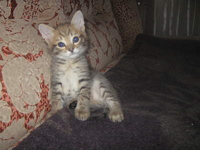 1920 X 1440 756.1 Kb      