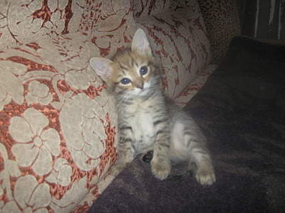 1920 X 1440 673.7 Kb 1920 X 1440 756.1 Kb      