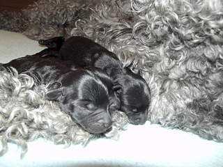 1920 X 1440 611.9 Kb   - .