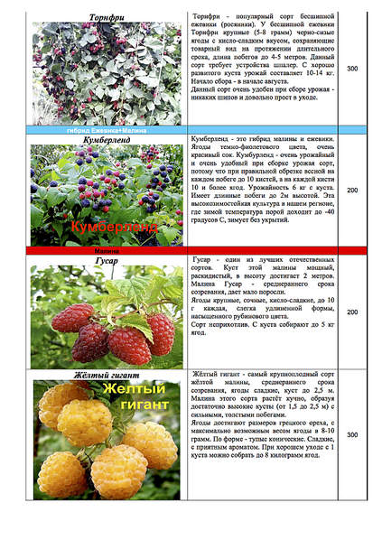 1239 X 1754 392.2 Kb 1239 X 1754 377.1 Kb 1239 X 1754 372.4 Kb 1239 X 1754 330.6 Kb ������� ������, �������, ������, �����, �����, �����, �������, �������