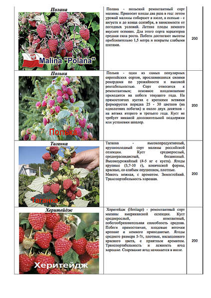 1239 X 1754 357.2 Kb 1239 X 1754 392.2 Kb 1239 X 1754 377.1 Kb 1239 X 1754 372.4 Kb 1239 X 1754 330.6 Kb ������� ������, �������, ������, �����, �����, �����, �������, �������