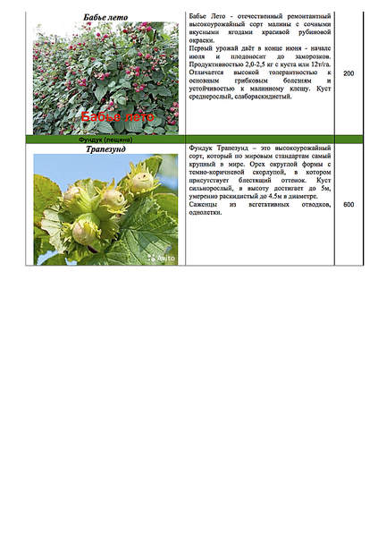 1239 X 1754 197.5 Kb ������� ������, �������, ������, �����, �����, �����, �������, �������