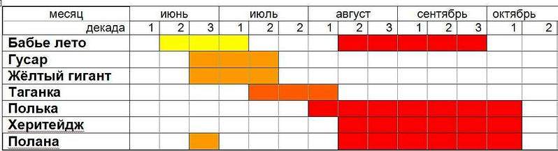 1125 X 306 60.8 Kb ������� ������, �������, ������, �����, �����, �����, �������, �������