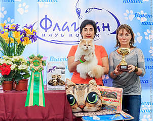 640 X 508 423.8 Kb 640 X 640 303.1 Kb 640 X 640 311.0 Kb 427 X 640 275.1 Kb Длинношерстные бриташки и компания!