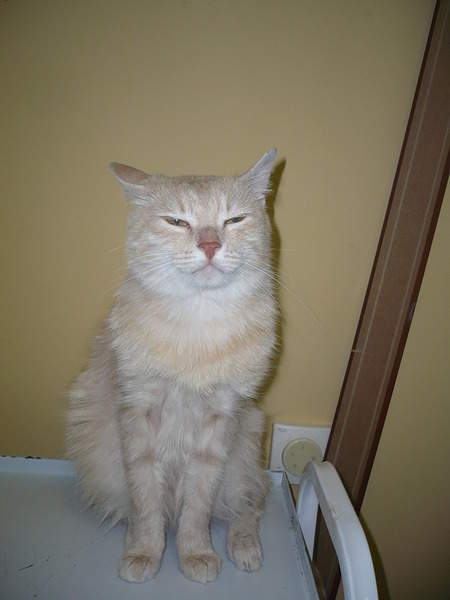 1536 X 2048 147.1 Kb  ...   !  .