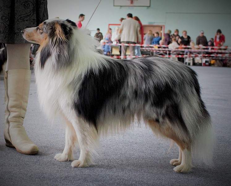 1920 X 1541 609.1 Kb 11  2015.   . .