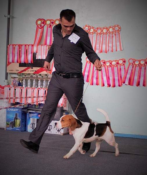 1402 X 1661 422.4 Kb 1476 X 997 263.3 Kb 1699 X 1143 327.5 Kb 11  2015.   . .