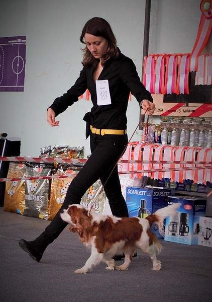 1586 X 2253 682.6 Kb 1920 X 2011 570.7 Kb 1403 X 846 167.8 Kb 11  2015.   . .